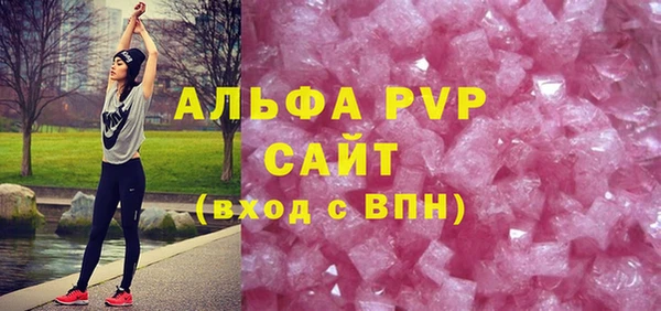 шишки Магас