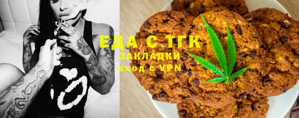 шишки Магас