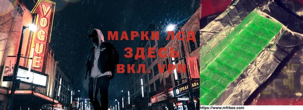 шишки Магас