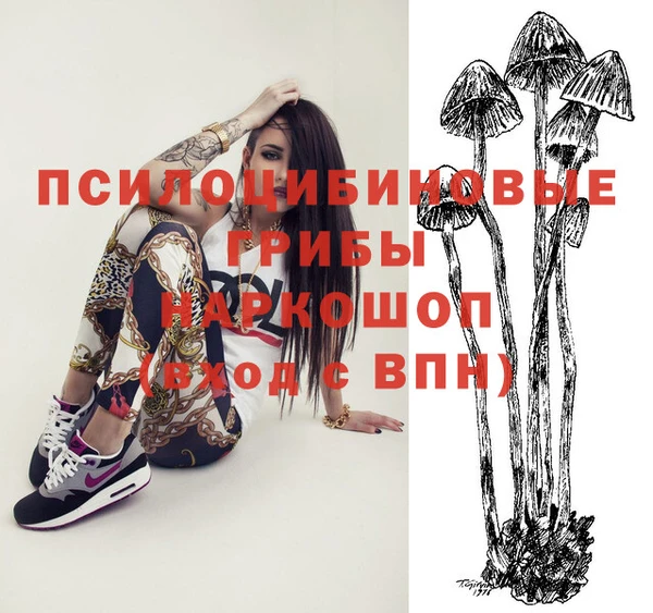 шишки Магас