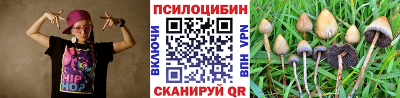 цена наркотик  Абакан  Псилоцибиновые грибы Psilocybine cubensis 