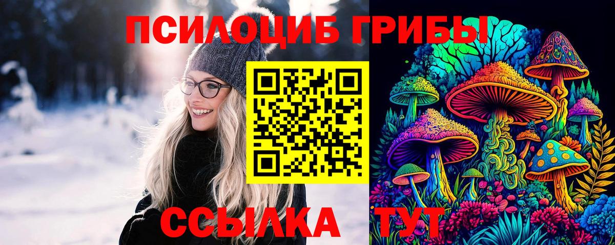 Галлюциногенные грибы Magic Shrooms Абакан