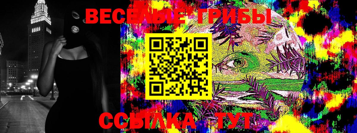 Галлюциногенные грибы Cubensis  Абакан 