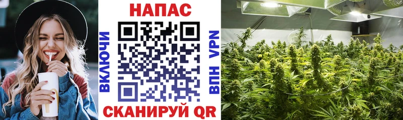 Бошки Шишки Bruce Banner  купить наркотики сайты  Абакан 